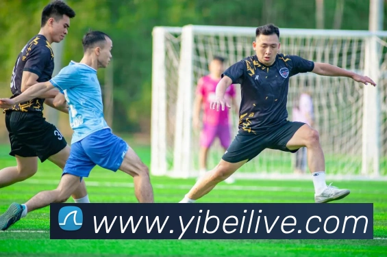 App Interface Preview