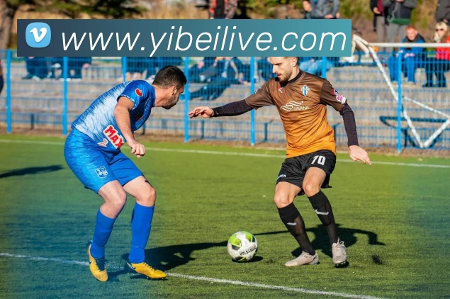 易倍体育APP 封面图